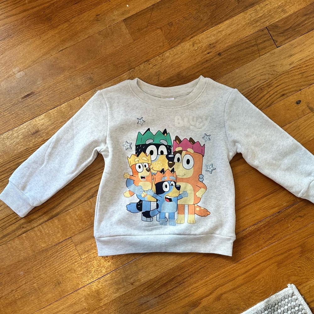 NWOT | Bluey Toddler Gray Sweatshirt